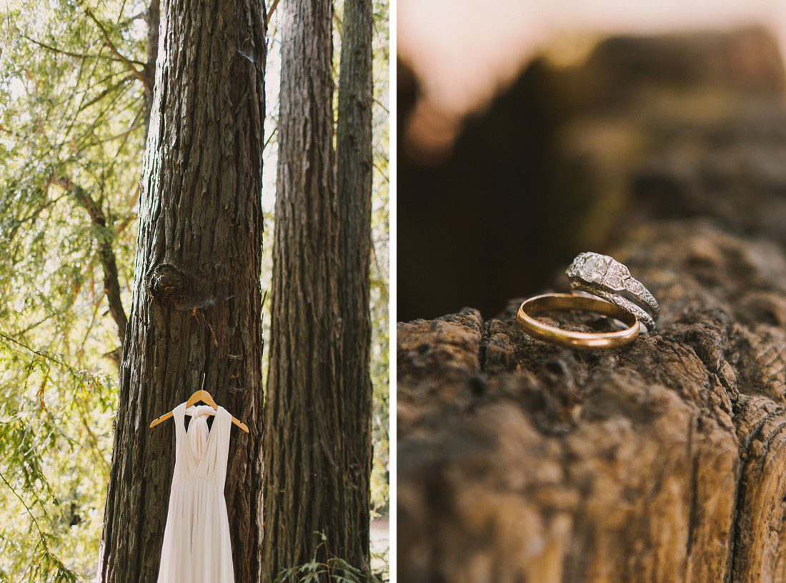 Santa Cruz wedding in Redwoods