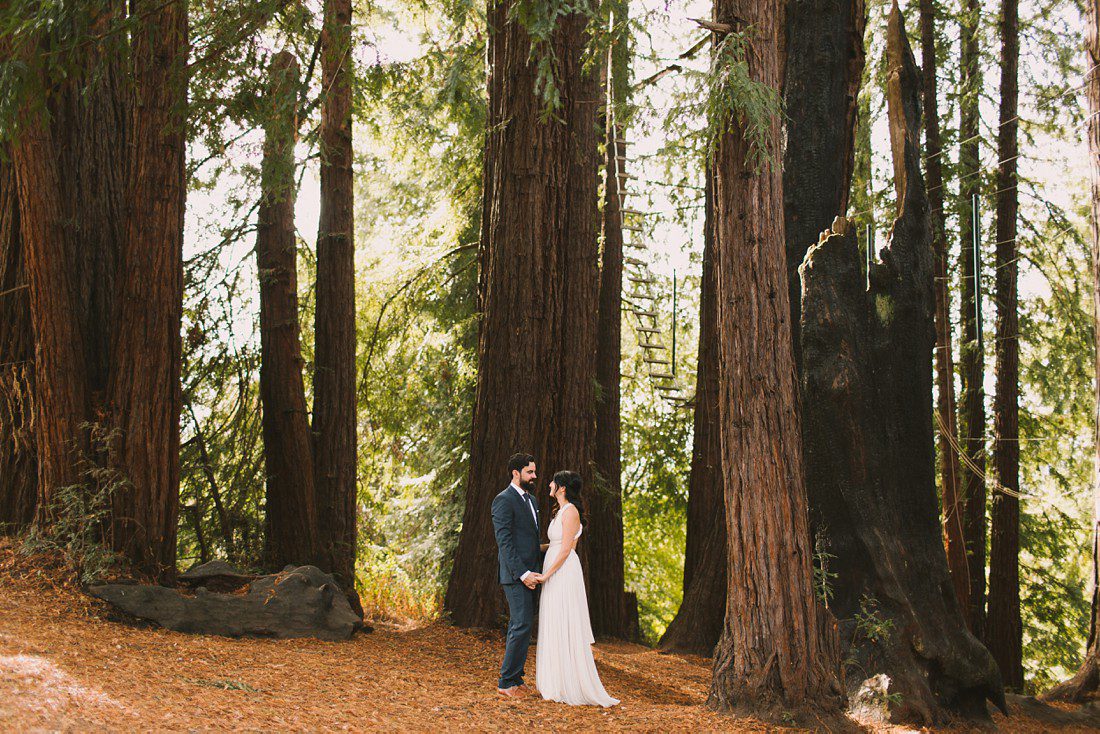 Bride and Groom among redwood trees in Santa Cruz