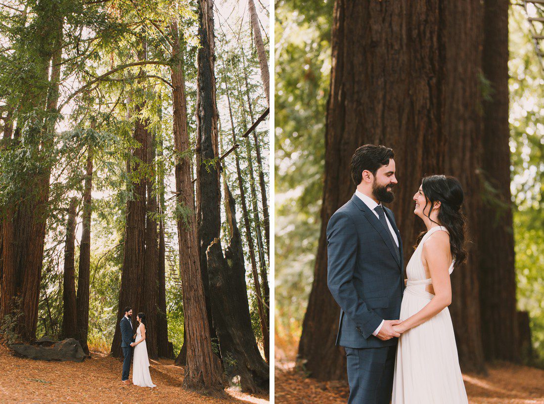 Santa Cruz Wedding in Redwood trees