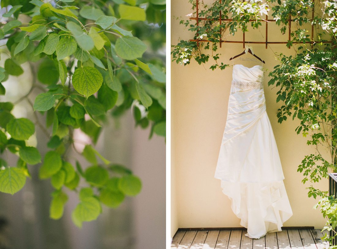 wedding dress hanging on vines
