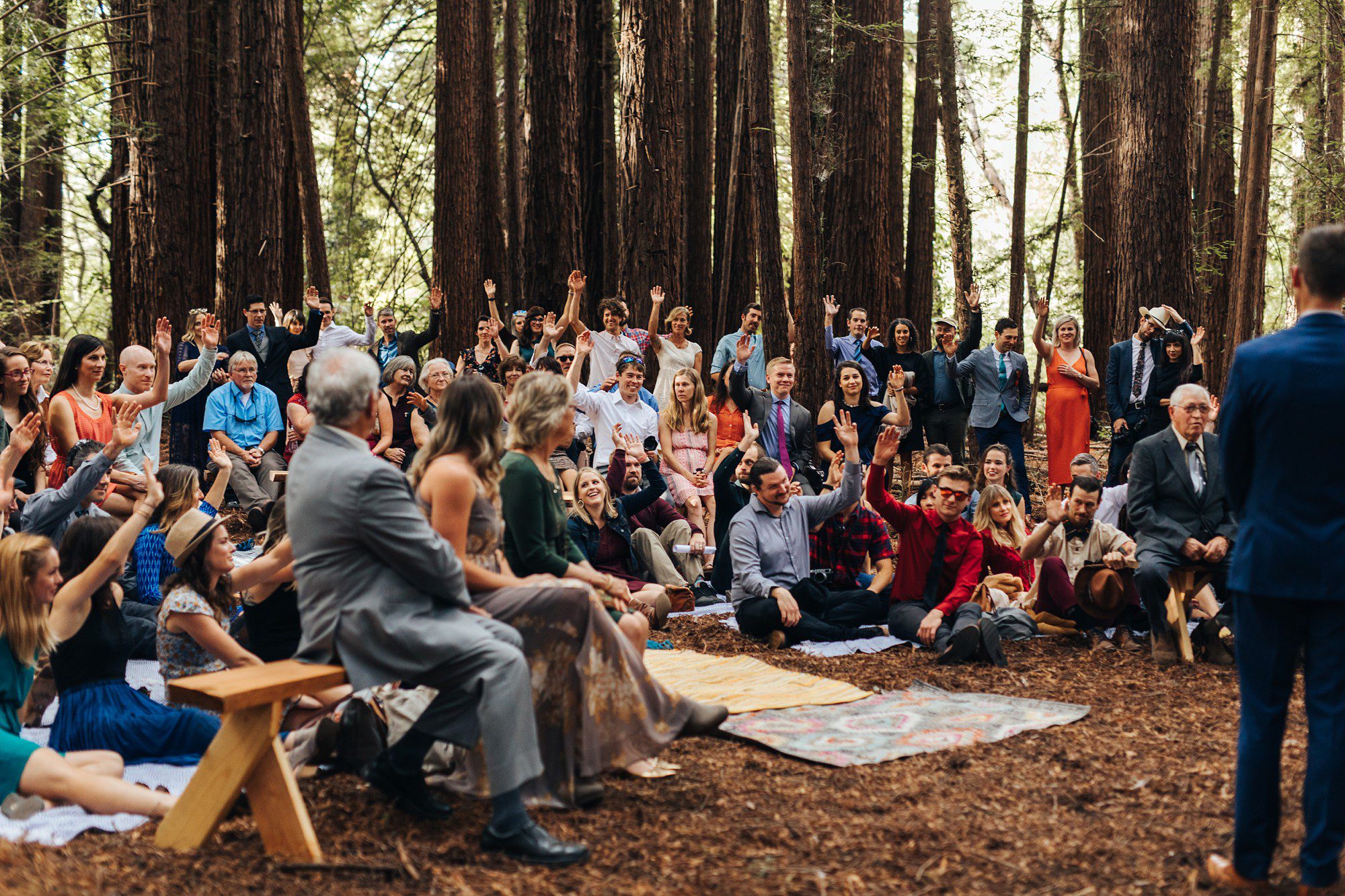 wedding ceremony in the redwoods
